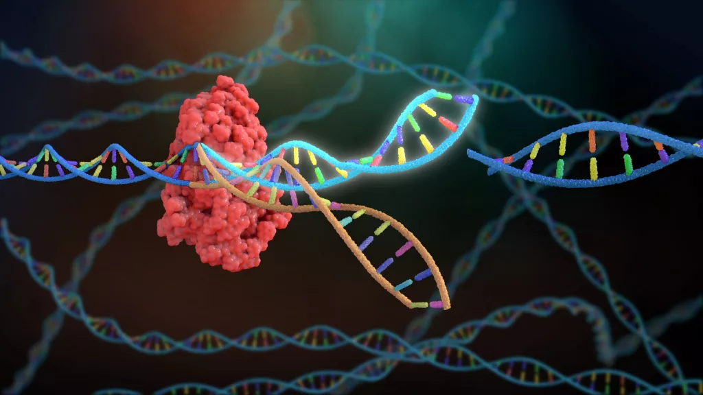 Dünyada Bir İlk: Kişiye Özel CRISPR Gen Tedavisiyle Bir Bebek Başarıyla Tedavi Edildi!