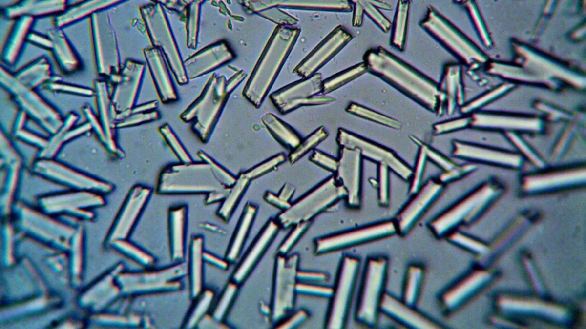 Laboratuvar ortamında kimyasal ayrıştırma testi yapan araştırmacılar