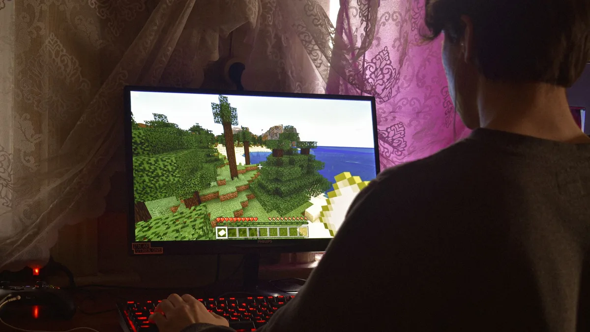 Minecraft RAM usage