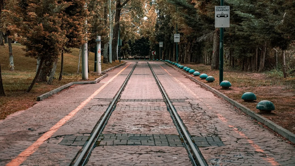Gövde görselinde farklı formatlar arasında karşılaştırma yapan grafik yer alıyor