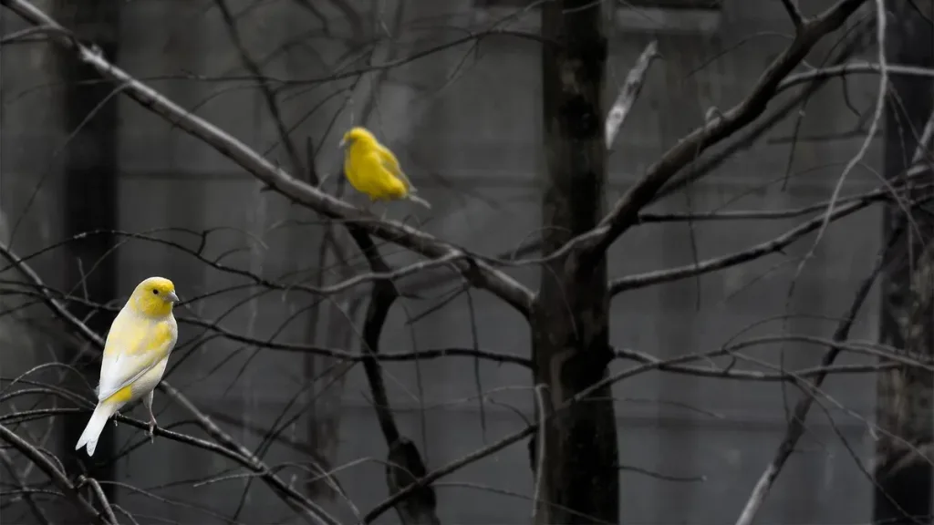 Chrome Canary Geminiyle zayıf parolaları otomatik