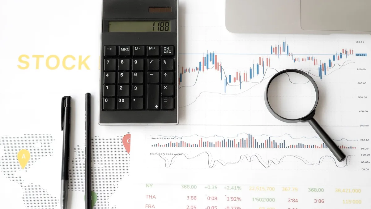 Finansal grafiklerin ve veri analizlerinin yer aldığı ekran