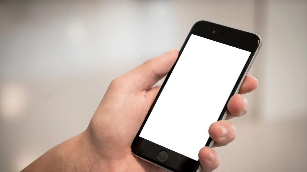 Bir kişinin elinde tuttuğu yeni nesil akıllı telefon