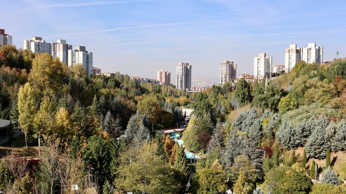 Silikon Vadisi'nde yatırımcılarla görüşen genç bir girişimci