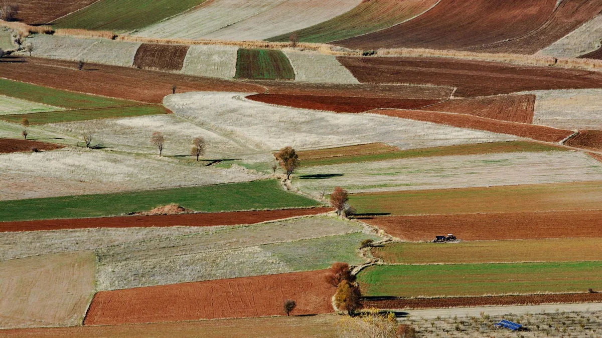 Yol kenarında sürüş yapan bir araç ve ekranda uyarı bildirimleri