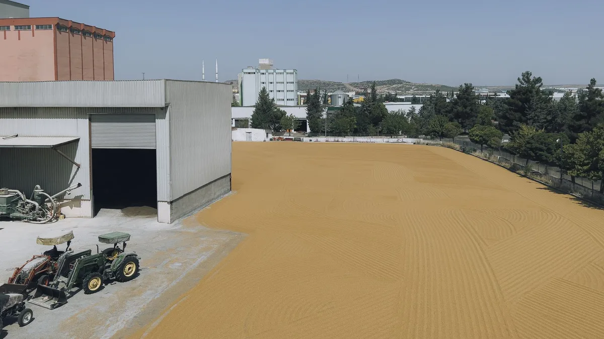 Gövde görseli: Dholera fabrika sahasında ekipman kurulumuna dair çekim
