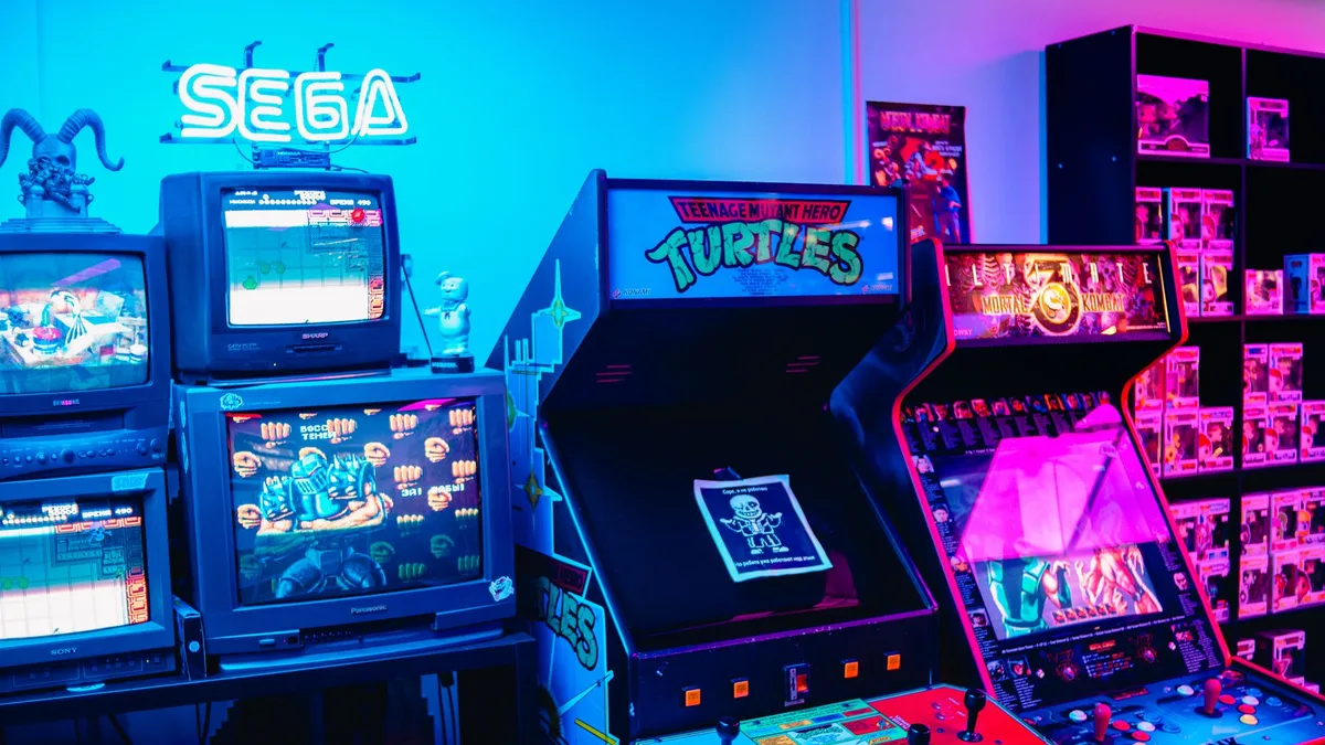Gövde görseli 2: Sega Genesis oyunu için hile ve kaydetme seçeneklerinin arayüzü