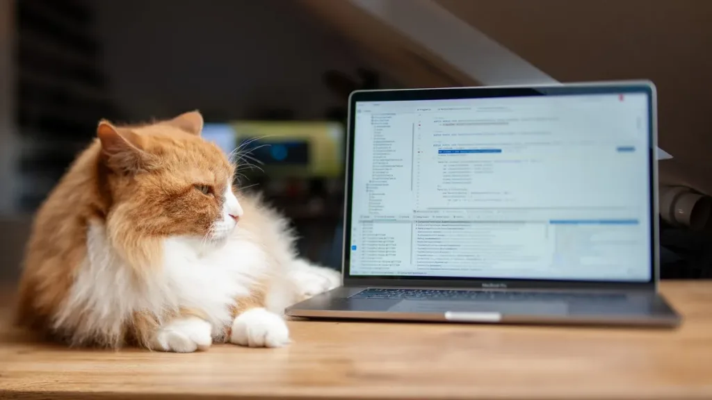 Docs Live yükseltisi artık Workspace kullanıcılarında Docs Live yükseltisi artık Workspace kullanıcılarında