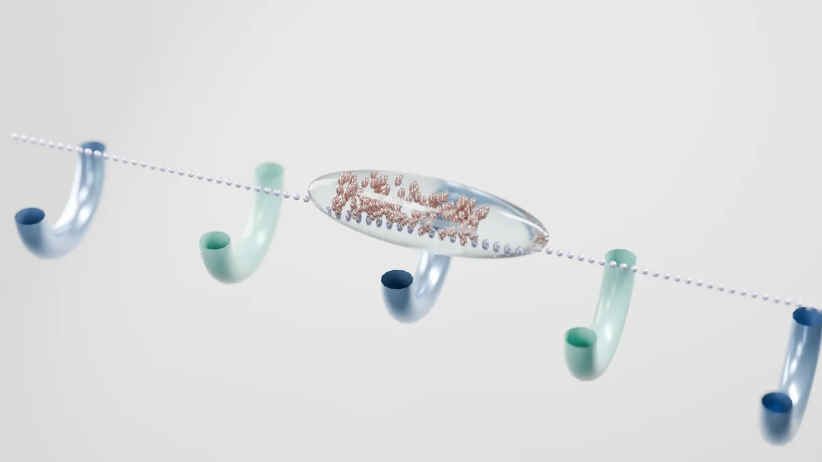 Gövde görsel 1: Bilgisayar ekranında protein dizisi ve watermark süreci gösterimi