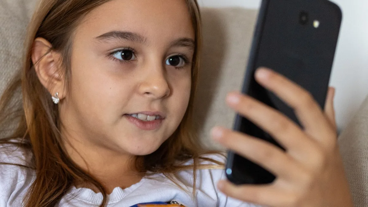 Gövde görsel 1: bir telefon ekranında yaş doğrulama süreçlerini gösteren grafik.